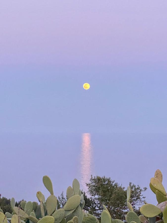 Villa Marigiosa Salento Маріттіма Екстер'єр фото